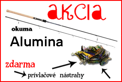 okuma alumina rod