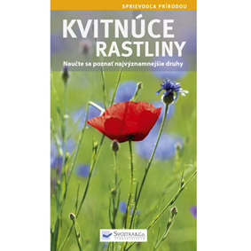 Kniha Kvitnce rastliny