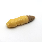 Nstraha Pupa 1.5" FishUP Cheese - Coffee Milk