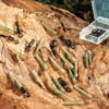 EXTRA CARP QUICK CHANGE WITH MINI SLEEVES EXTRA CARP QUICK CHANGE WITH MINI SLEEVES