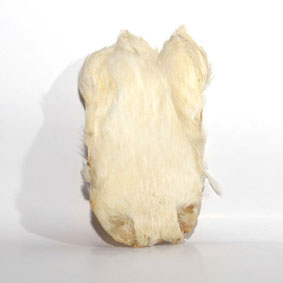 Mu�k�rsky skalp sliepka Hends